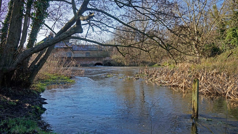 John's Water pool in the winter, on the Blickling Estate, Norfolk